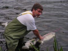 Andreas muss die Fische streicheln - damit sie auch still halten